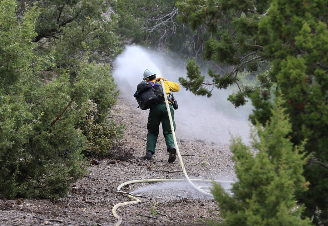 A firefighter from Bureau of Land Management sprays water as he conducts wildland fire readines ...