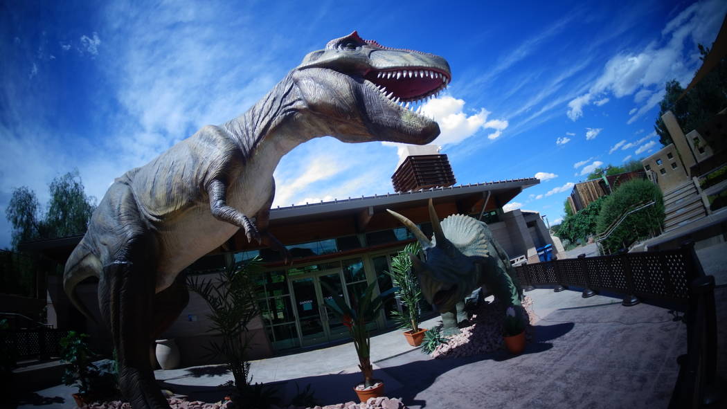 Dinosaurs have invaded the Springs Preserve in Las Vegas. This prehistoric exhibit runs all sum ...