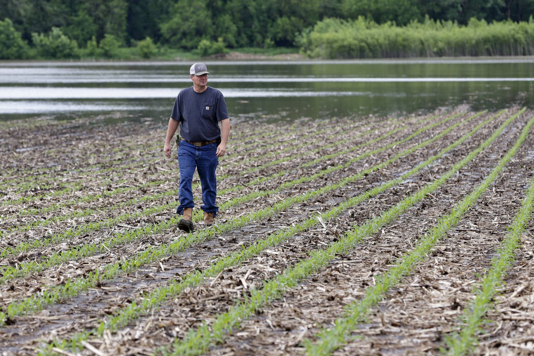 In this May 29, 2019 photo, Jeff Jorgenson looks over a partially flooded field he farms near S ...