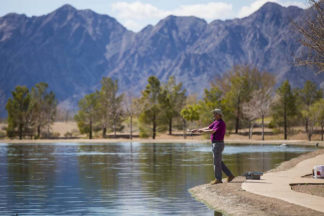 Tom Coleman, who has lived in Boulder City around 23 years, casts a line while fishing at Veter ...