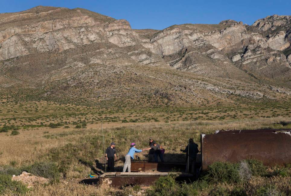 Participants in a "bat blitz" event set up nets in the East Mormon mountain range on ...