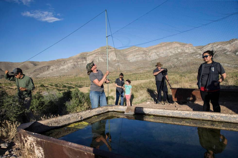 Christy Klinger, second from left, a wildlife biologist with the Nevada Department of Wildlife, ...