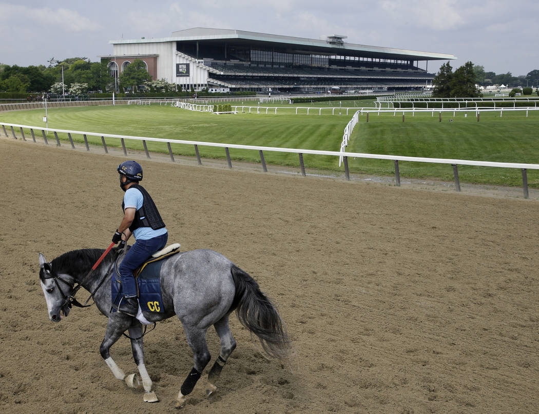 A rider works out a horse at Belmont Park in Elmont, N.Y., Thursday, June 6, 2019. The 151st Be ...