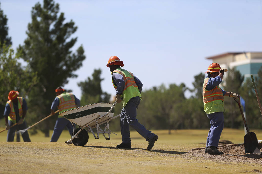 Members of the Nevada Division of Forestry work at the Aliante Golf Club in North Las Vegas, Th ...