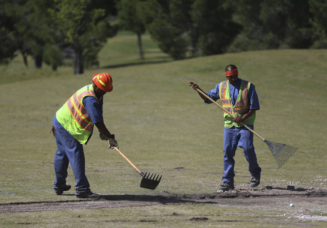 Gilbert Frances, left, and Edgar Talamantes, members of the Nevada Division of Forestry, work a ...