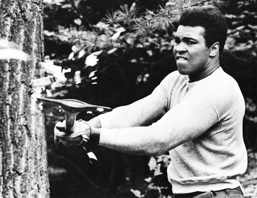 In this Aug. 23, 1973, file photo, boxer Muhammad Ali chops at a tree with an axe at his traini ...