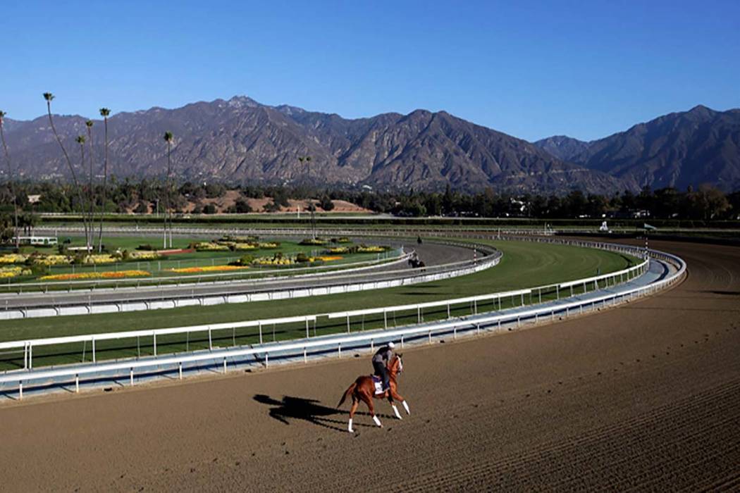 In this Oct. 30, 2013, file photo, an exercise rider takes a horse for a workout at Santa Anita ...