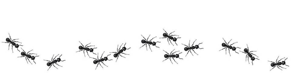 A line of worker ants marching in search of food. Vector banner