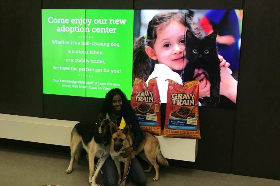 Ines Diaz with her two German shepherds, Tyger and Aria. (GoFundMe)