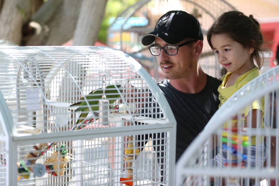 Ryan Burchett with his son Dean, 3, look at a Hahn's macaw during the Founder's Day Kids Carniv ...