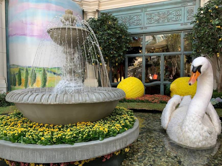 The Bellagio Conservatory & Botanical Gardens has opened the gates to its summer display. (Mat ...