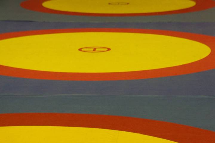 Field for competitive wrestling. (Thinkstock)