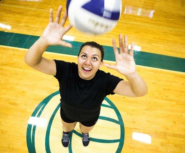 Silverado sophomore outside hitter Sydney Berenyi was selected as the Northeast League&lsquo ...