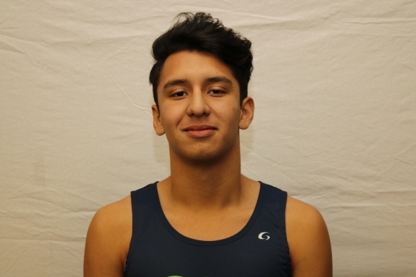 Leonardo Rubi, Green Valley: The junior finished seventh in the Division I state meet in 17: ...