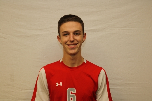 Dalton Rice, Arbor View: The senior had 14 goals and five assists for the Aggies. He was nam ...