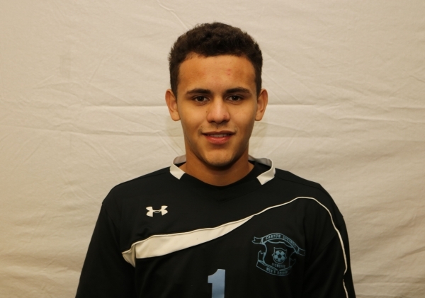 Daniel Bibriesca, Canyon Springs: The senior had four shutouts at goalkeeper for the defensi ...