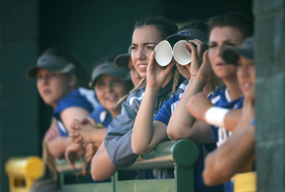 The Basic Wolves players watch the action against the Douglas Tigers in the NIAA 4A softball ...