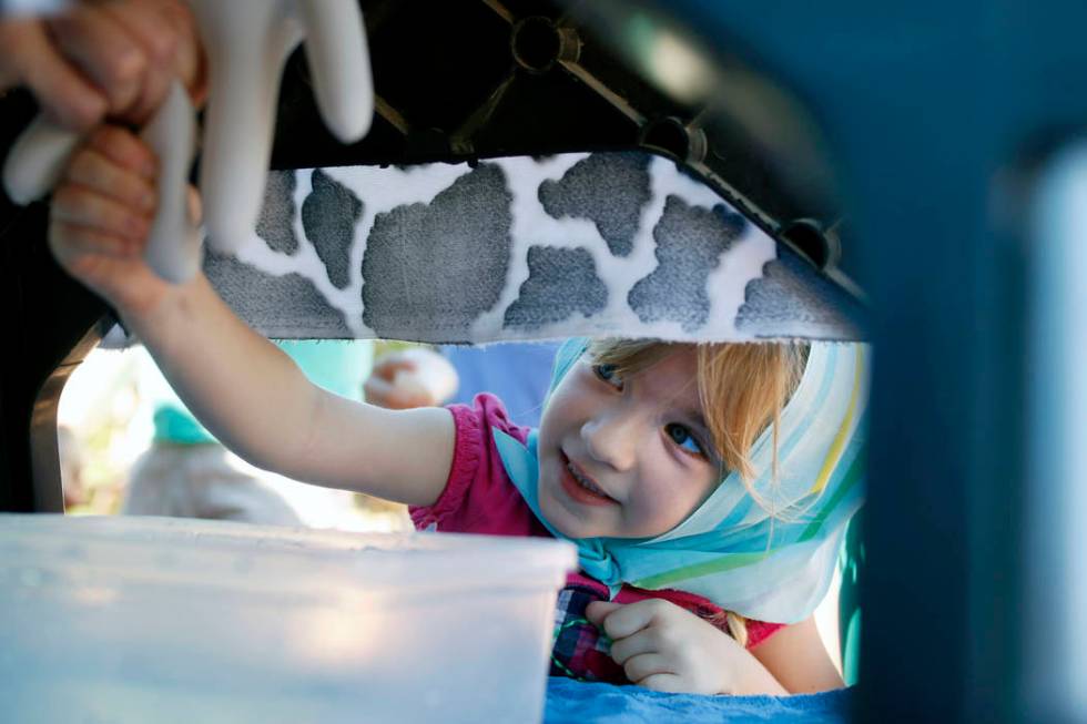 Ava Spencer, 5, learns how to milk a cow on a display during Pioneer Day at Old Mormon Fort in ...