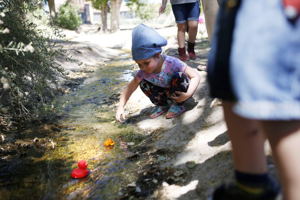 Addy Bartlett, 4, visiting family in Las Vegas, watches her plastic duck in the duck race durin ...