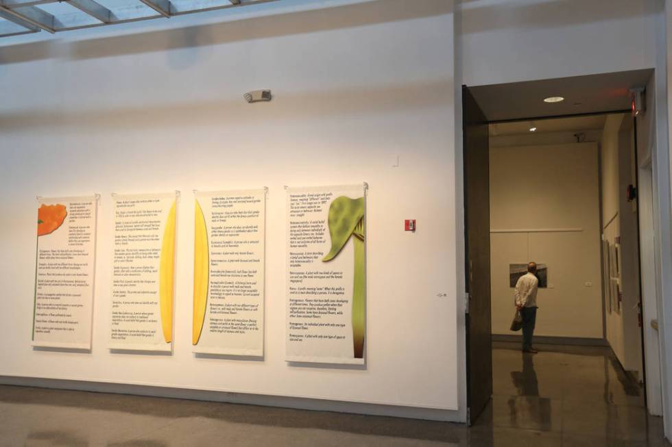 Denise Duarte's glossary on vinyl panels at Sahara West Library Art Gallery on July 2, 2019, in ...