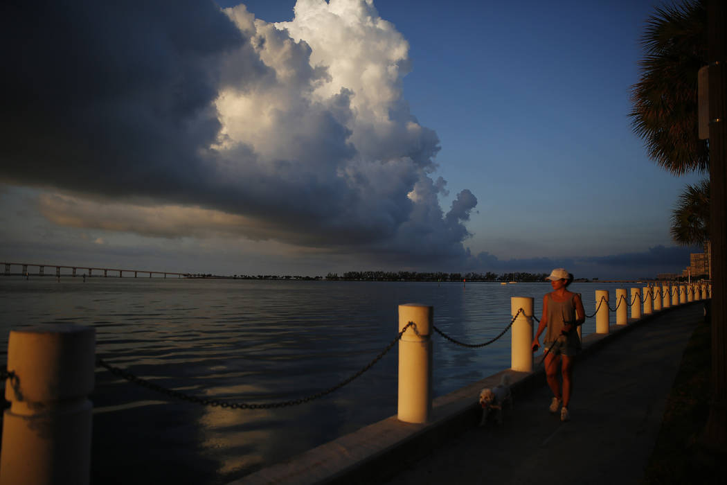 In this June 4, 2019, photo a woman walks her dog along the water near downtown Miami. Accordin ...