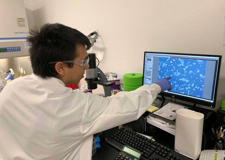 In this photo taken March 1, 2019, lab technician Ismael Montanez points to fish cells on scree ...