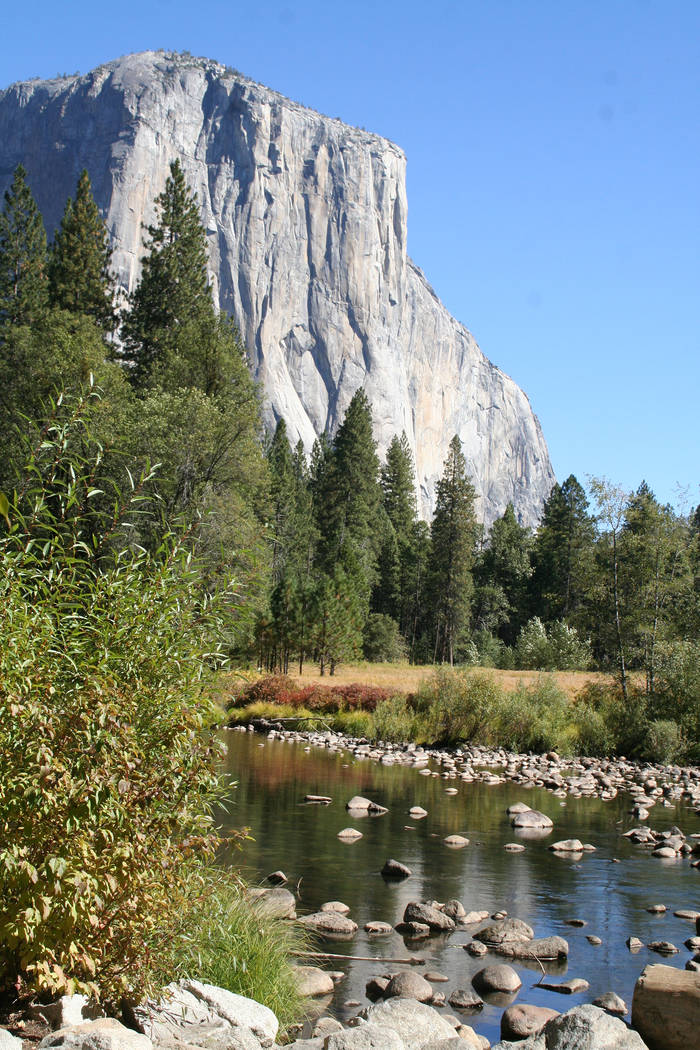 El Capitan is a 3,000 foot high granite monolith that is extremely popular with climbers. Debor ...