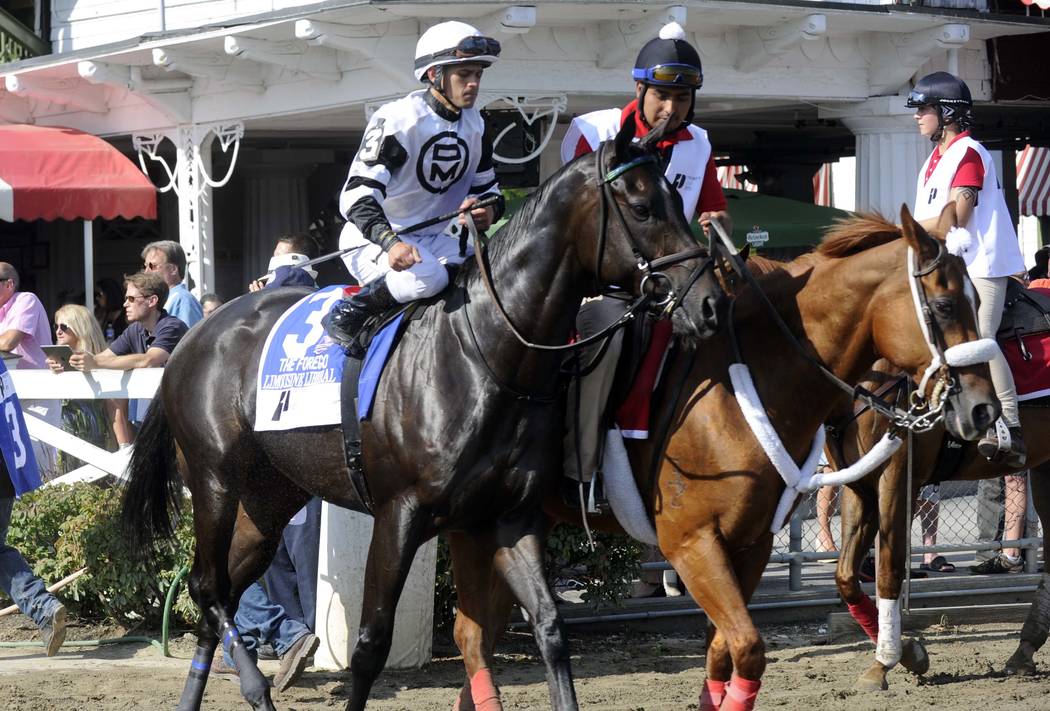 Limousine Liberal with Javier Castellano aboard during the post parade before The Priority One ...