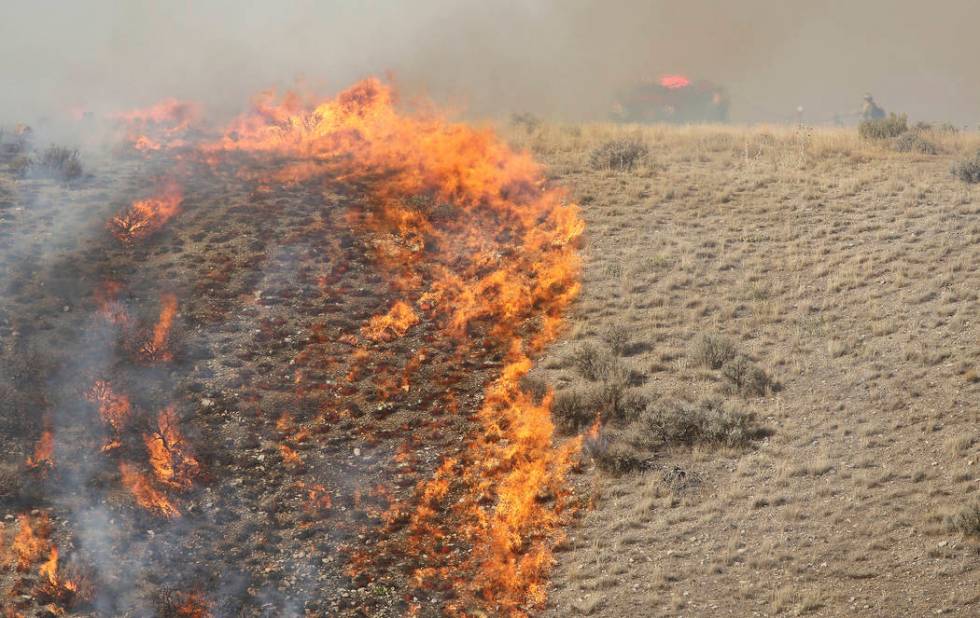 FILE - In this Sept. 15, 2018, file photo, firefighters battle a brush fire near Shaggy Mountai ...