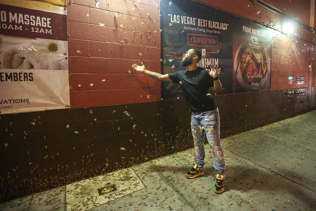 Dorian Williams, from Houston, checks out the grasshoppers outside the El Cortez on Sunday, Jul ...