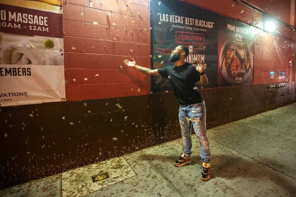 Dorian Williams, from Houston, checks out the grasshoppers outside the El Cortez on Sunday, Jul ...