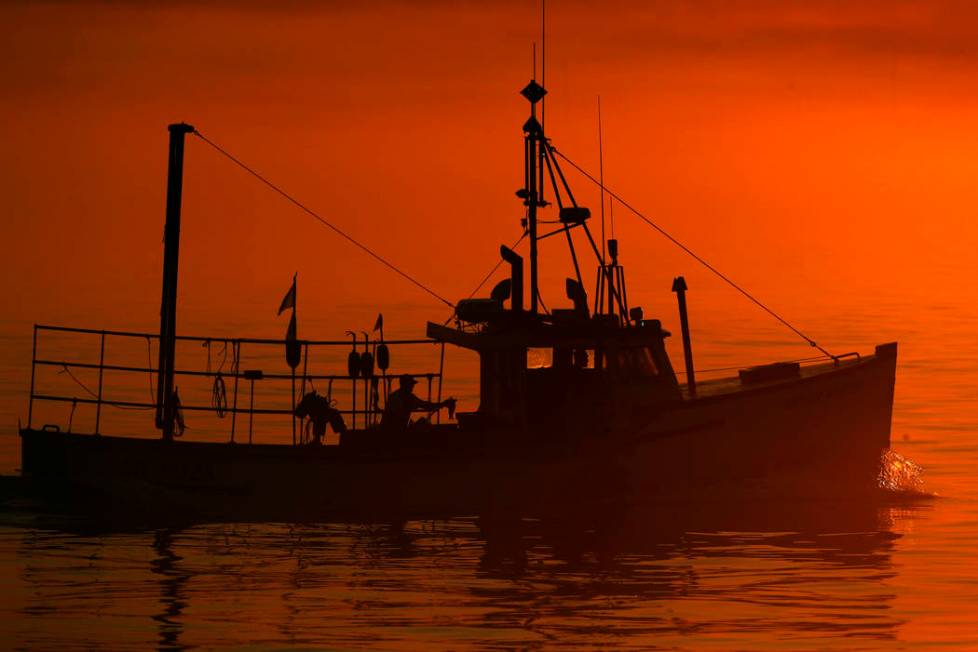 FILE - In this July 2019 file photo, a lobster boat heads out to sea at dawn off South Portland ...