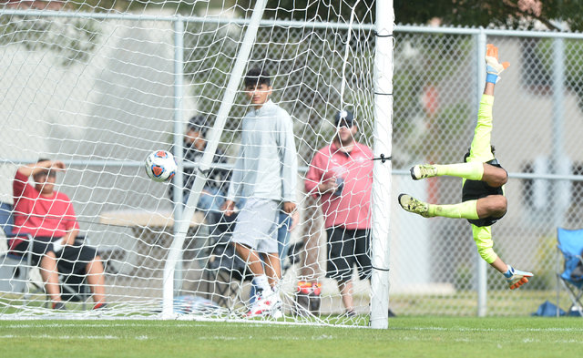 The winning goal slips past Coronado’s Harrison Skinner (1) during the boys Class 4A S ...