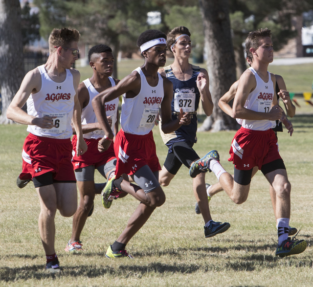 Participates of the boys 4A NIAA State Championship meet at Craig Ranch Park on Saturday, No ...