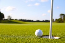 GIRLS GOLF: Coronado rolls in Southeast match