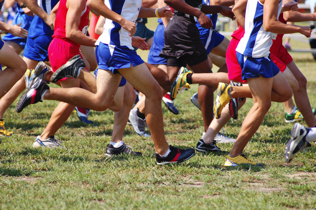 BOYS CROSS COUNTRY: Durango’s Frankie Bisacky has enough kick to win Southwest League titl ...