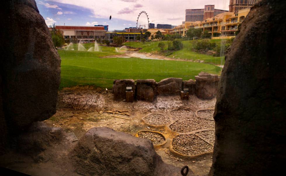 The waterfall and stream features are shown under construction at Wynn Golf Club on Tuesday, Ju ...