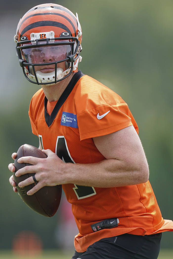 Cincinnati Bengals quarterback Andy Dalton (14) prepares to throw the ball during NFL football ...