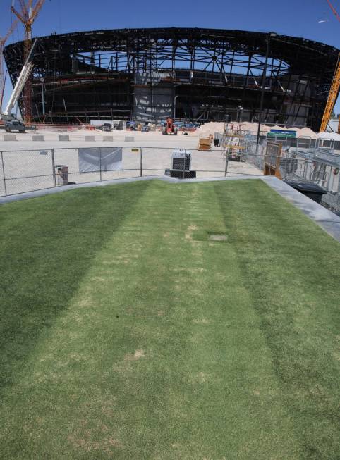 Several types of grass are seen outside Allegiant Stadium on Friday, Aug. 16, 2019, as the stad ...