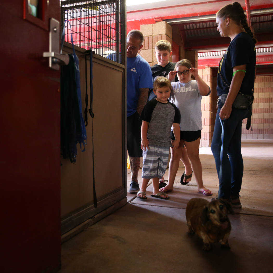 Volunteer Crystal Ertman, far right, assists Thomas Garcia, and his children, clockwise from le ...