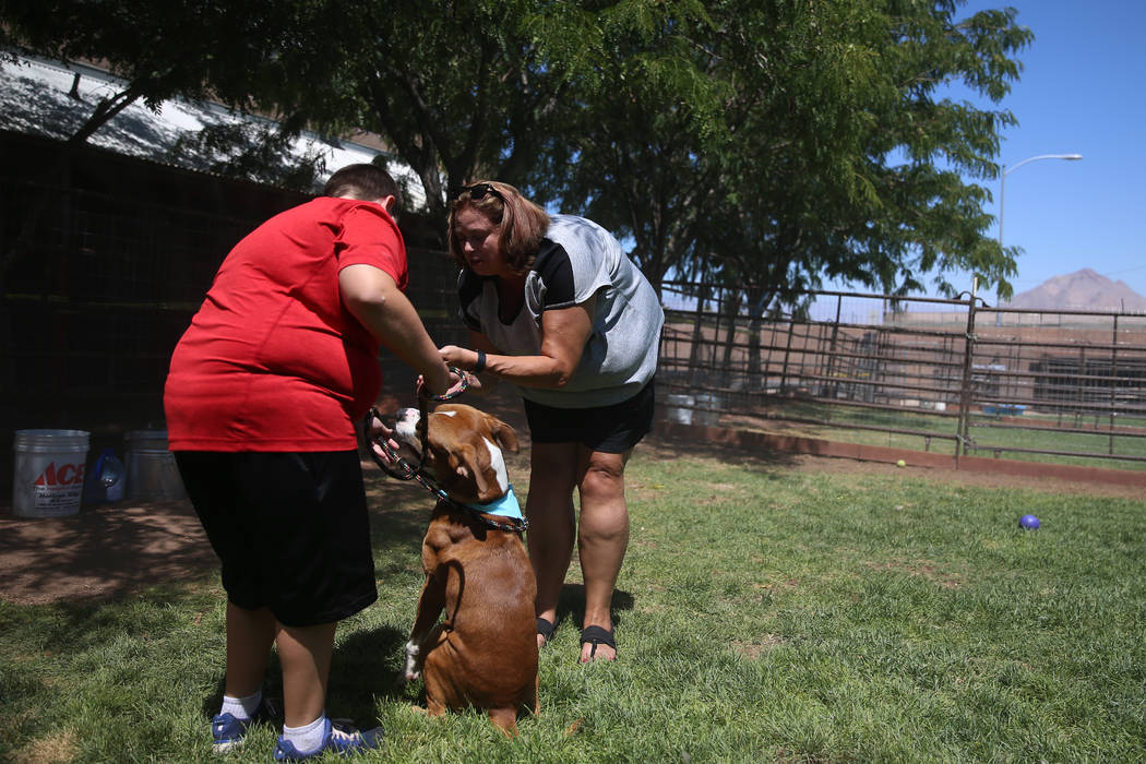Aiden Fox, 11, left, with his mother Kara, of Henderson, play with a dog for adoption during th ...
