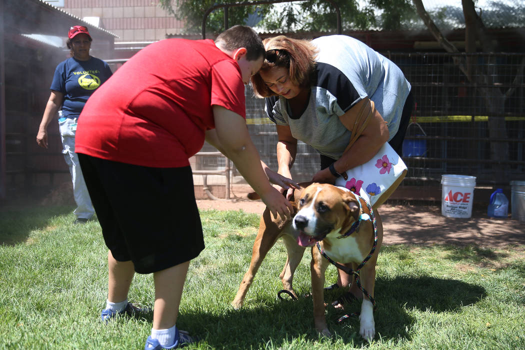 Aiden Fox, 11, left, with his mother Kara, of Henderson, play with a dog for adoption during th ...