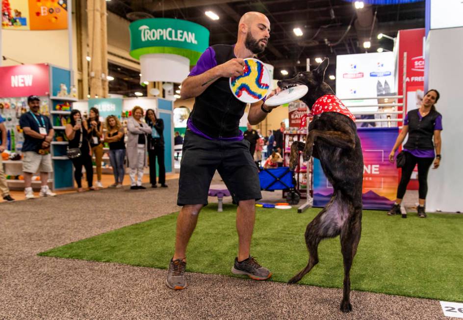 Christopher Padilla performs tricks with dog Poison Ivy during The Canine Experience display at ...