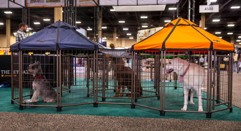 Pet Gazebos are some of the new items at the SuperZoo pet products show in the Mandalay Bay Con ...