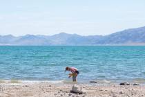 Girl Scout Gemma "Zo" Brown, 7, plays in the water at Boulder Beach at the Lake Mead National R ...