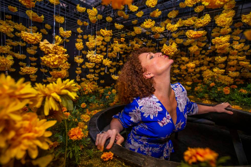 Tevis Holboron kisses a flower in the Superbloom Room at the new Happy Place popup at Mandalay ...