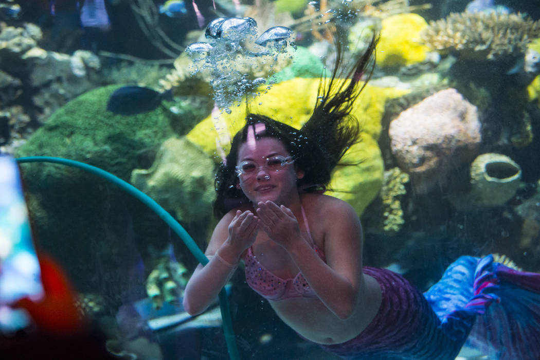 McKenzie Kawano, who works as a mermaid at the aquarium at the Silverton, entertains guests in ...