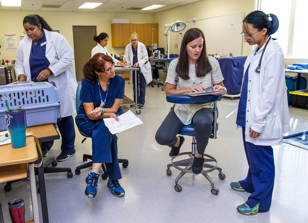 Licensed Veterinary Tech/Professor Aubree Englert, center, confers test results with students N ...