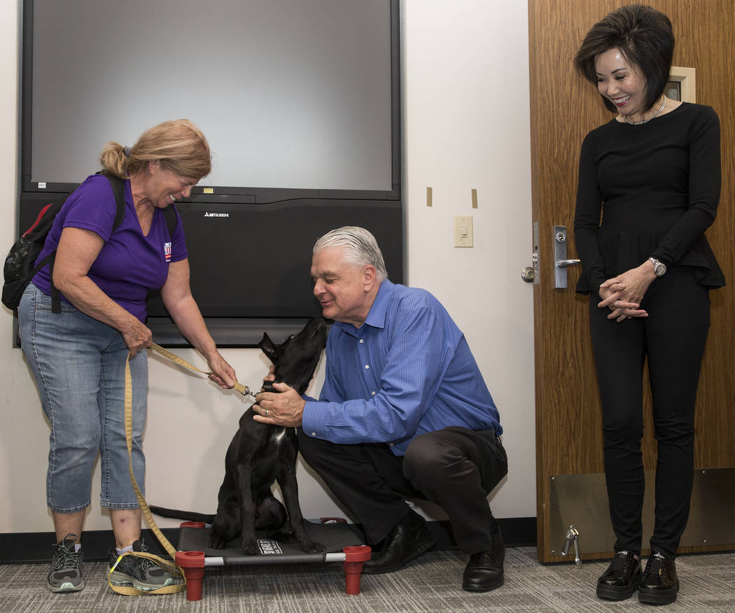 Blaze, a 5-month-old black lab and golden retriever mix, meets with Nevada Gov. Steve Sisolak a ...