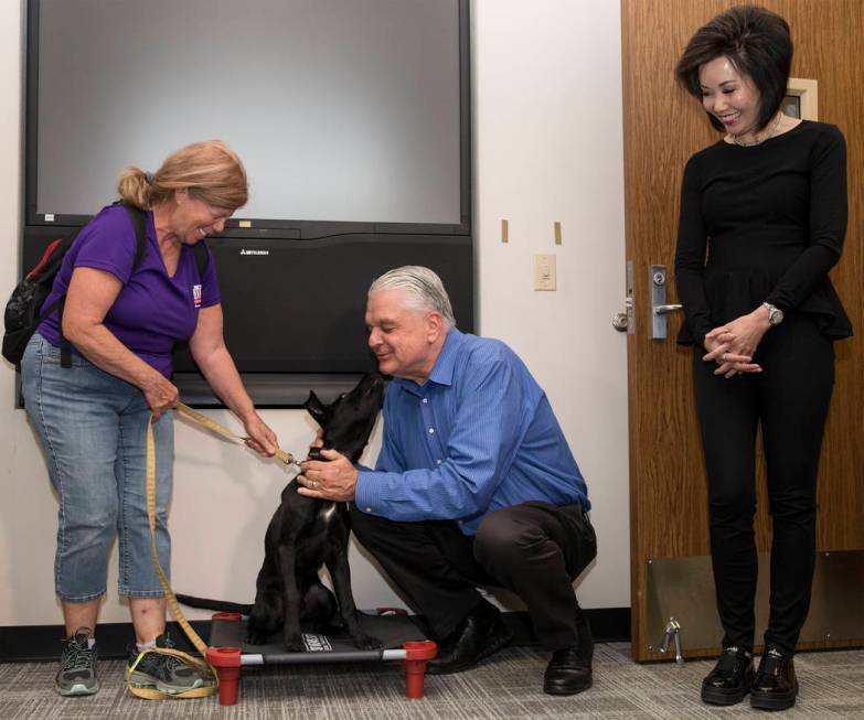 Blaze, a 5-month-old black lab and golden retriever mix, meets with Nevada Gov. Steve Sisolak a ...